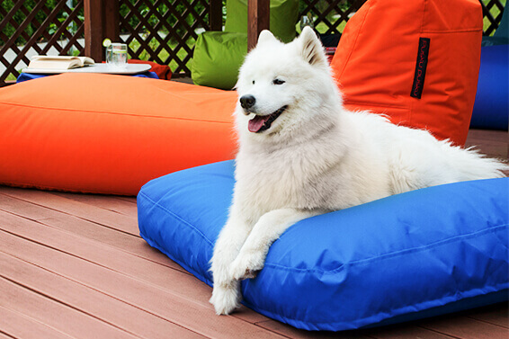 How to choose a bean bag for outdoors?