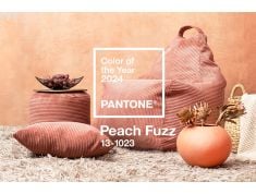 Aasta 2024 pantone värv on – „Peach Fuzz“