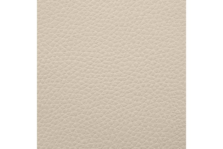 Artificial leather sample Outside Beige