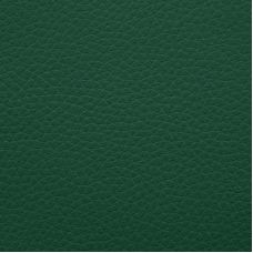 Artificial leather sample Outside Green
