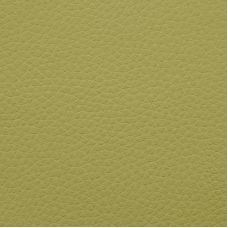 Artificial leather sample Outside Lime