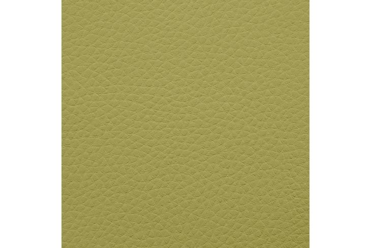 Artificial leather sample Outside Lime